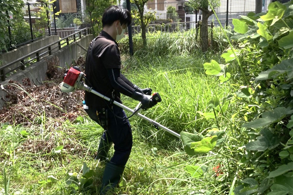 物件敷地内の植栽剪定